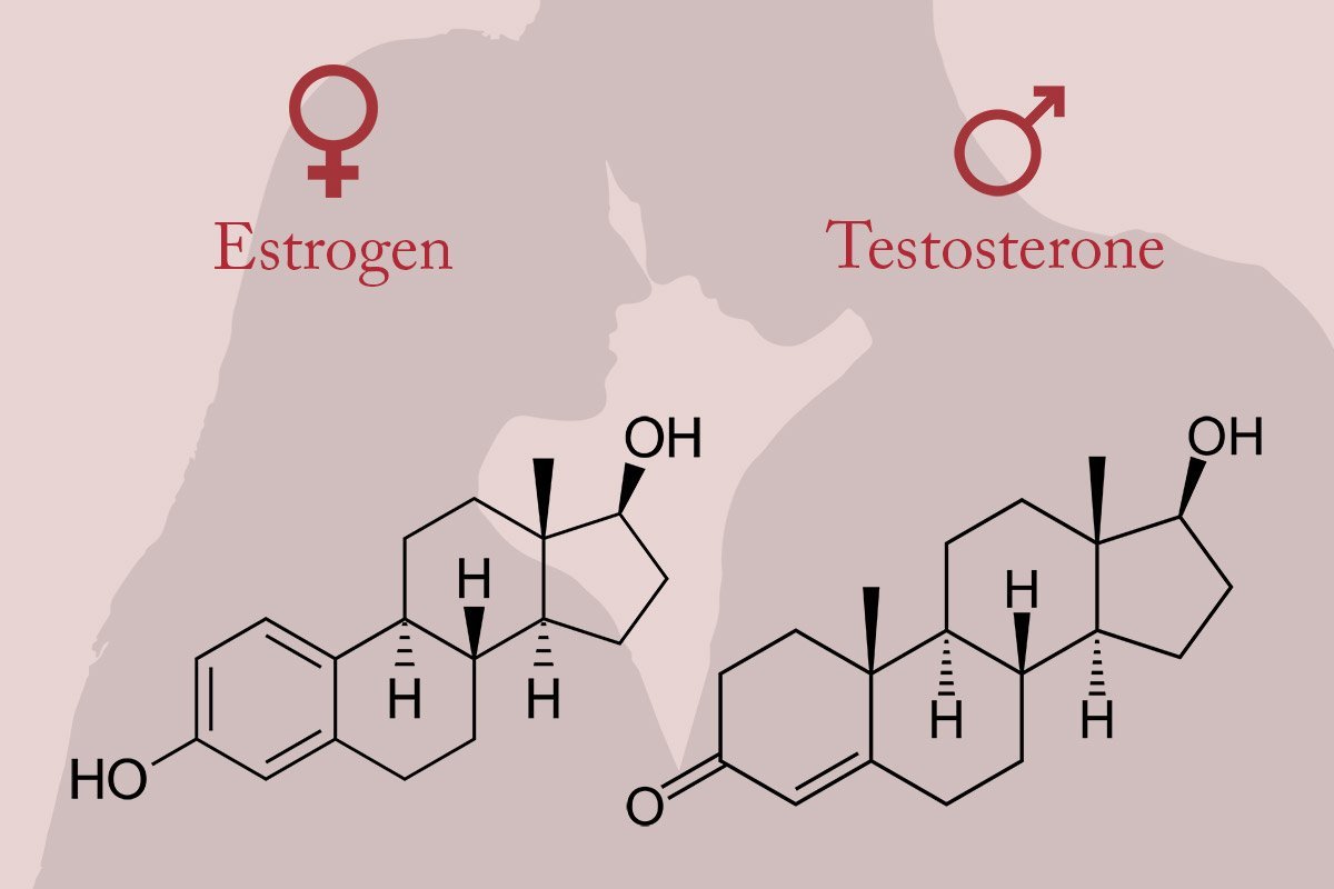 Hormones and Sexual Desire – Joylux