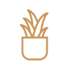 Illustrated icon of aloe vera plant
