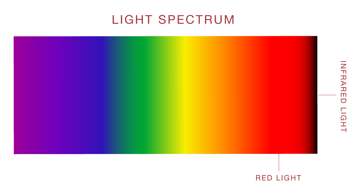 A rainbow colored light spectrum labeling red light nearest to infrared light at the highest on the spectrum.