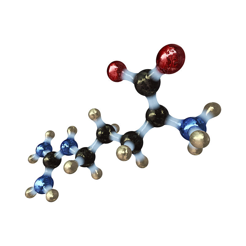 illustration of amino acid arginine