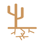 Illustrated Icon of Desert to indicate vaginal dryness