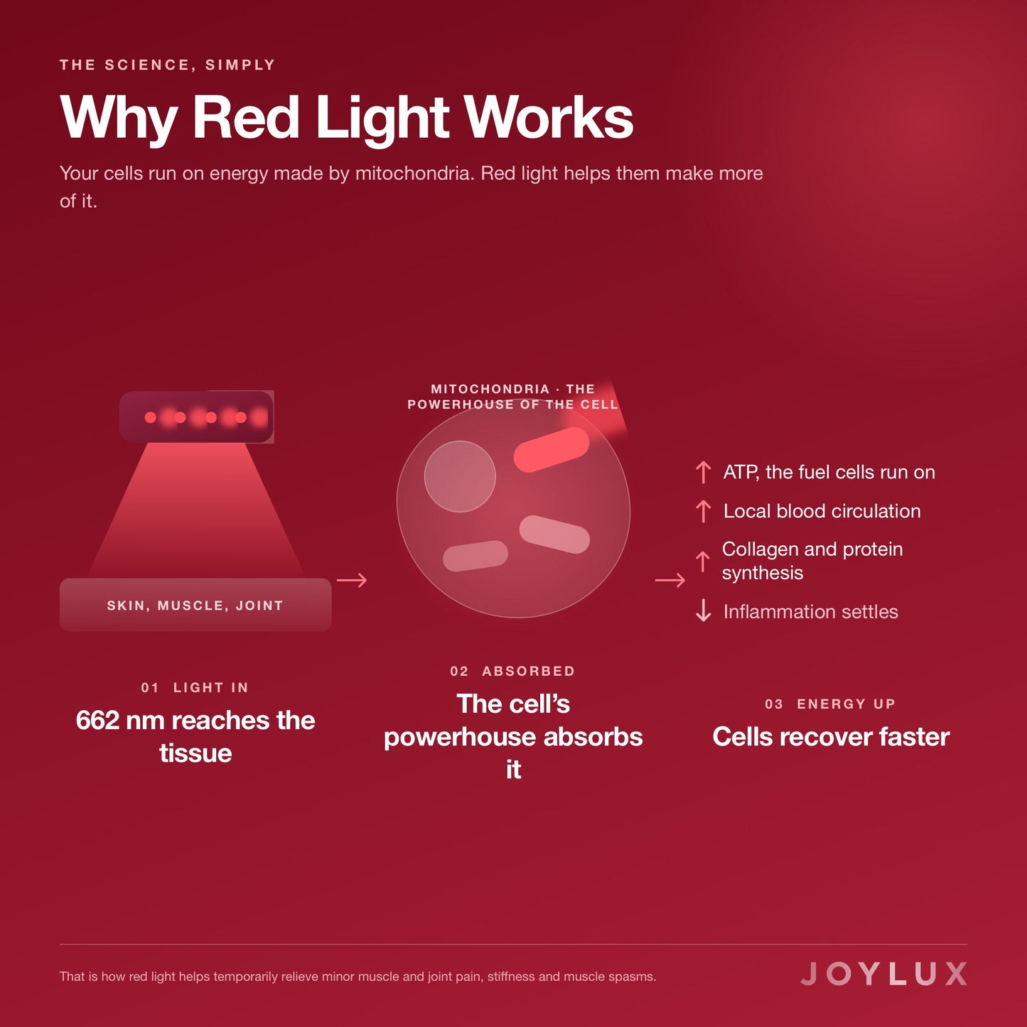 ILYEO™ body - Joylux