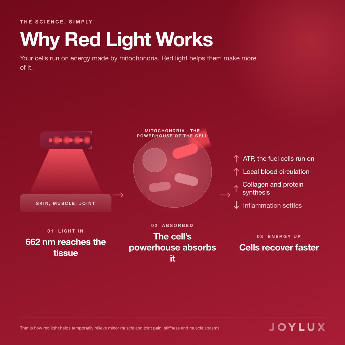 ILYEO™ body - Joylux