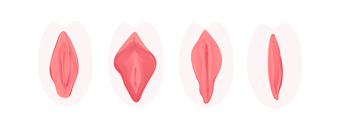 Vulva 101 | Women’s Intimate Care & Menopausal Wellness | Joylux