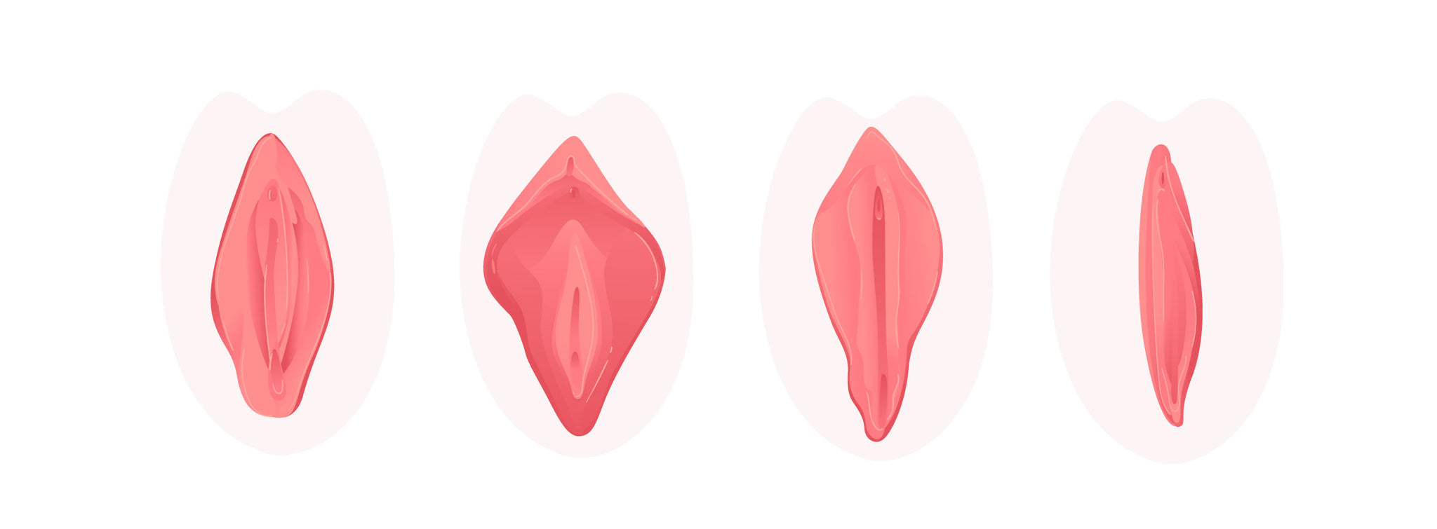 Four images of women’s reproductive system with varying shapes and sizes.