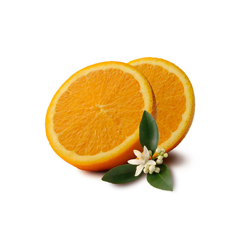 Image of sliced oranges
